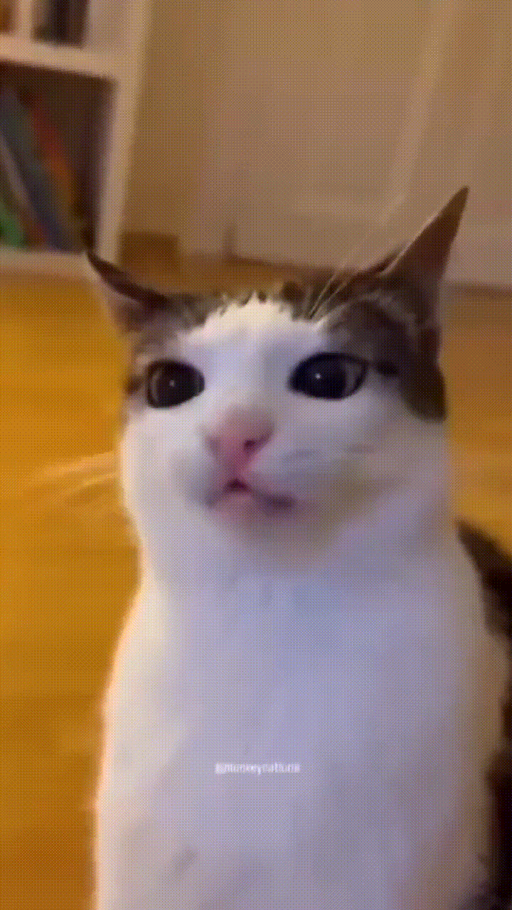 5782725593695