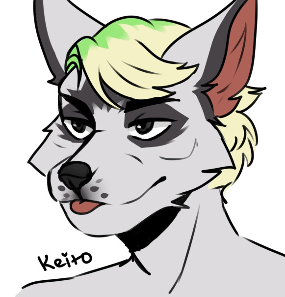 Tay Winterfox