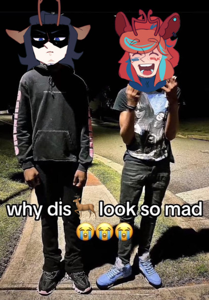 Мемы