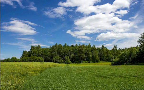 Вайб