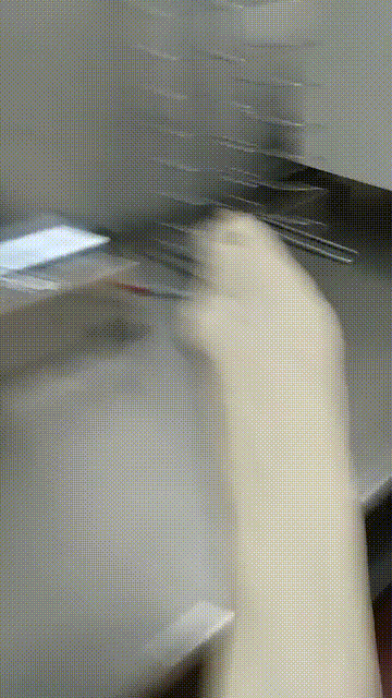 6646081915447