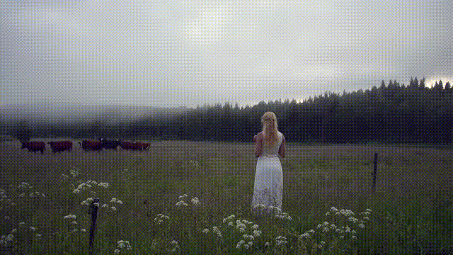 14957869461150.webm