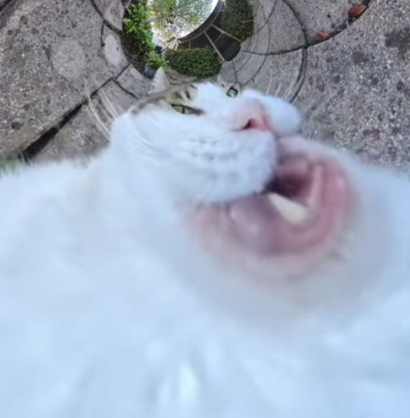 :) 