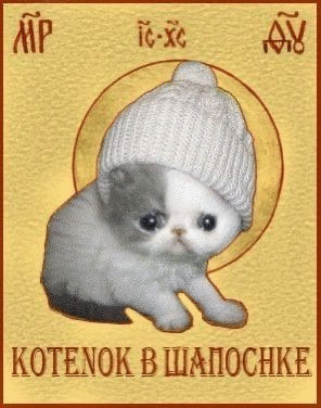 Фотографии со страницы