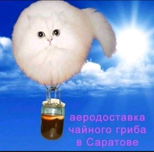 Сергей Штукатурка