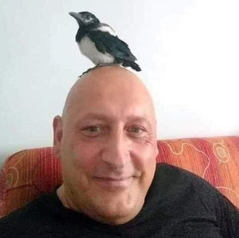 Фотографии со страницы