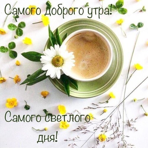 Доброе утро!(❁´◡`❁)(❁´◡`❁)(❁´◡`❁)(❁´...