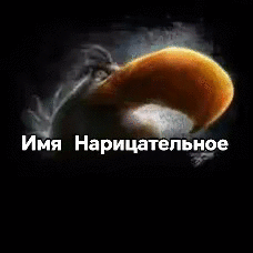 Имя Нарицательное