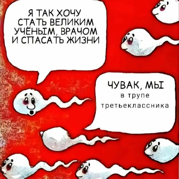 Лучшие мемы