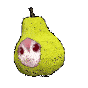 gif photo view