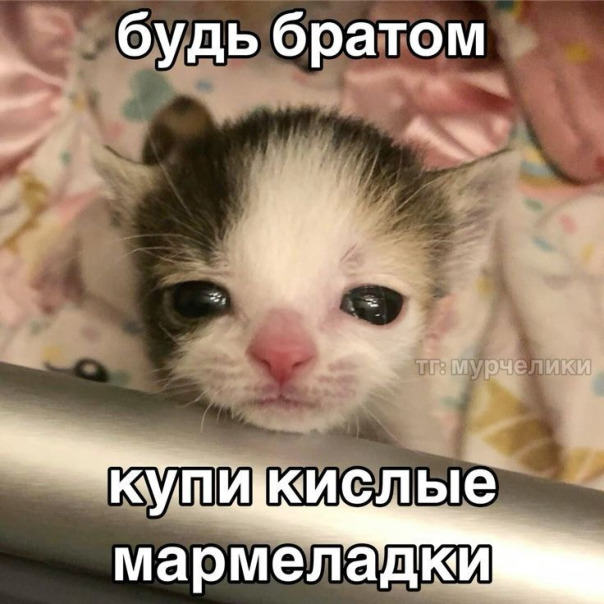 Фотографии со стены