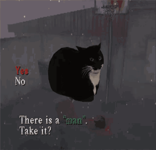 gif photo view