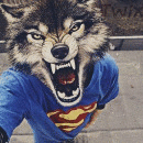 Хикстор Хиксторович