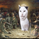 Божественный кот