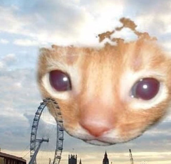 Ксения Кек