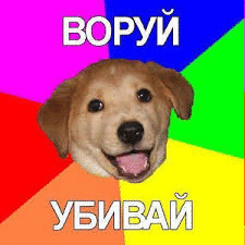 Шнырь Хайповый