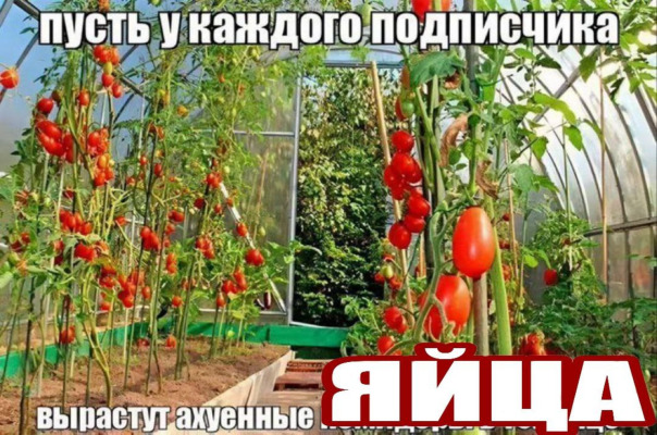 Фотографии со стены
