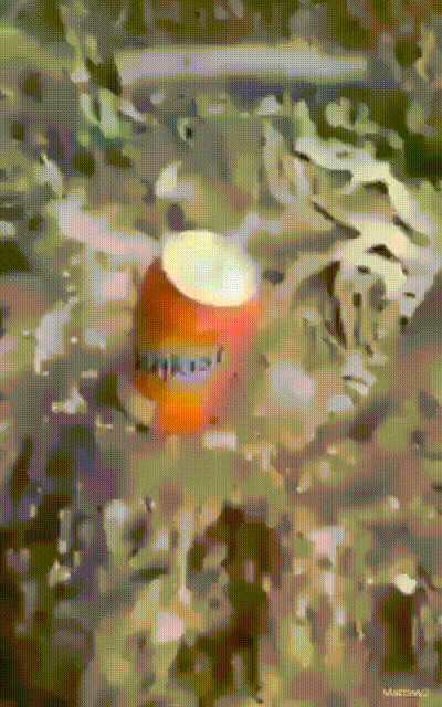 bang bang