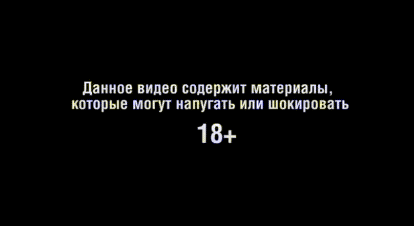 В Украине фашизма нет 