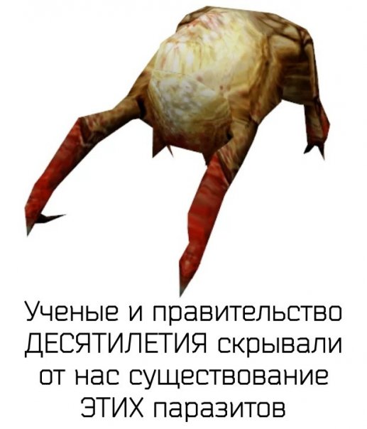 #halflife #headcrab #хедкрабы #прави...