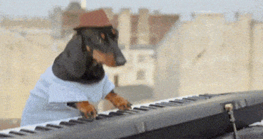 gif photo view