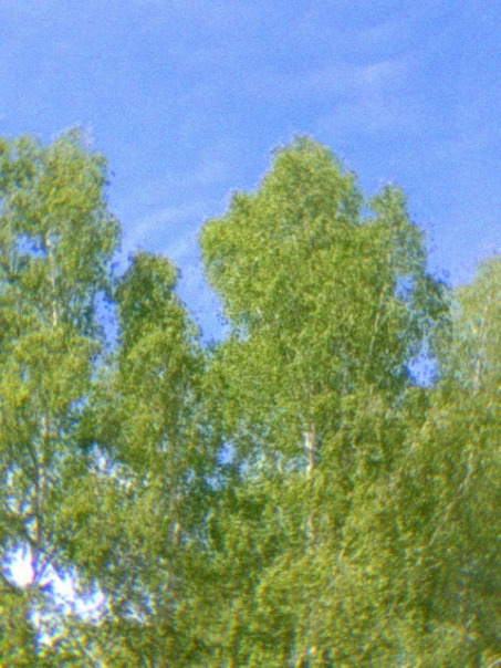 Сергей Тищенко