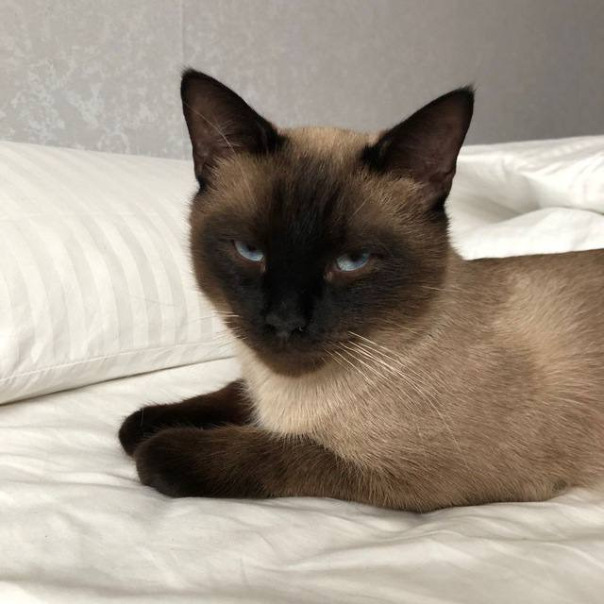 Лоад 