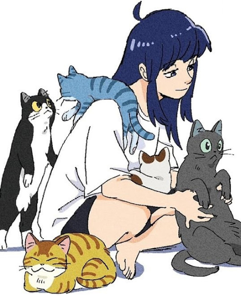 こしたんたん しかのこ