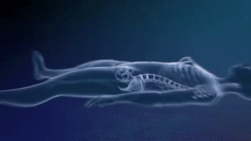 gif photo view