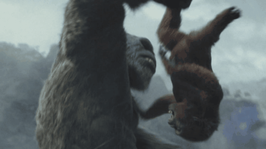 gif photo view