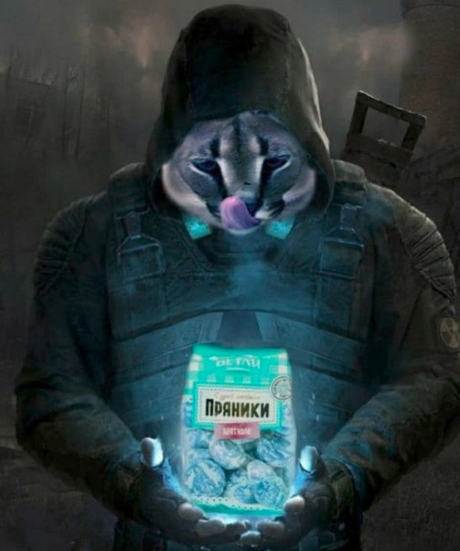 Димитрий Cat