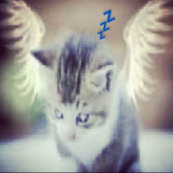 Лиля Кудрявцева