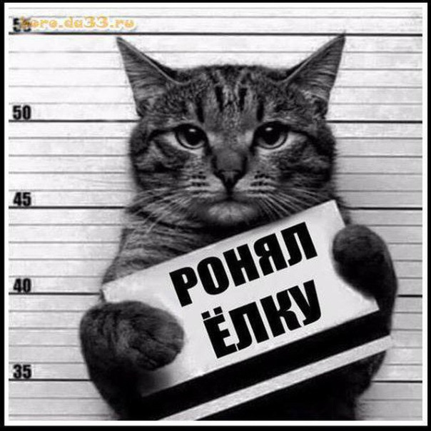 Дабстеп Мысливец