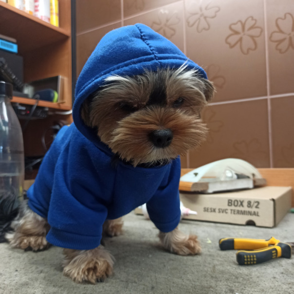 Юрій Федорович