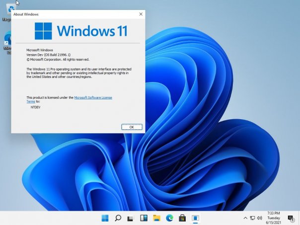 Windows 11 Pre-Beta 21996.1 утекла в...