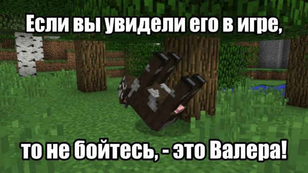 Мы вот встретили......