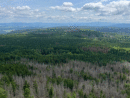 Club image