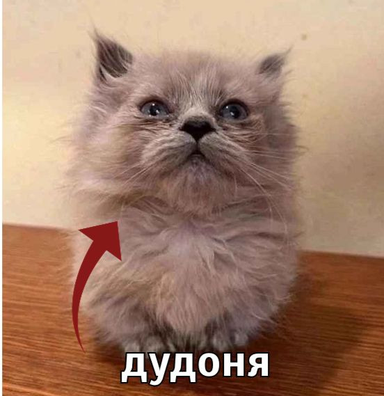 Настя Эщкере