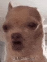 gif photo view