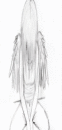 Club image