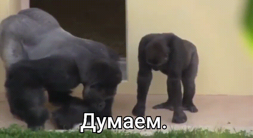 Думаем