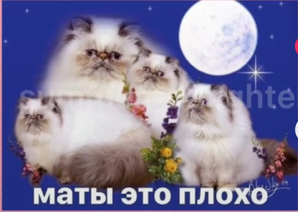 Эвелина 