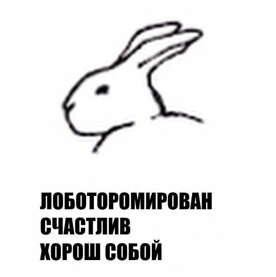 Милке Вилколожкина