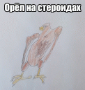 Орёл на стероидах