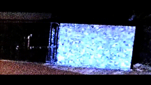 BONES - WhiteNoise