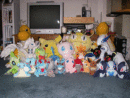 https://www.deviantart.com/darkfeather/art/Pokemon-Plush-Collection-186642494