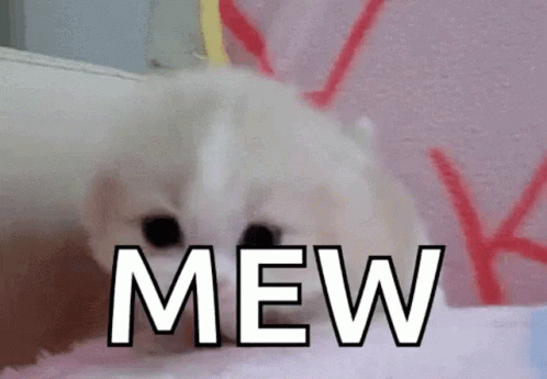 gif photo view
