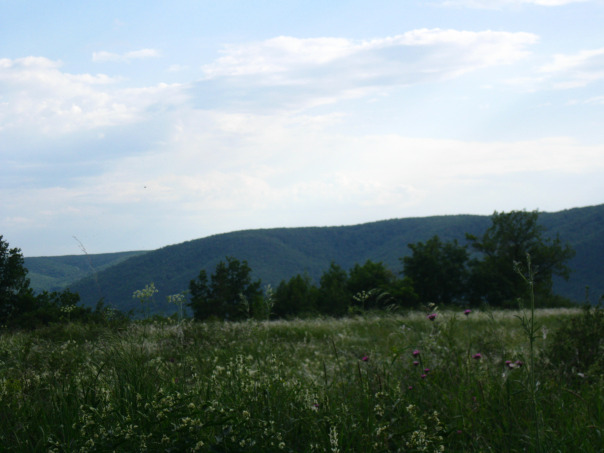 Красиво