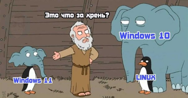 Мемы про windows 11...