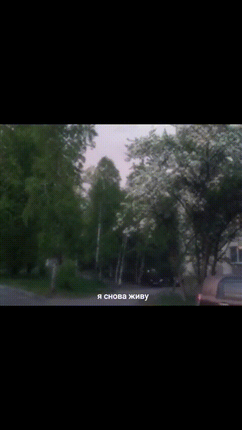 6904888429135